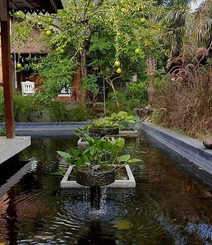 Wayang Retreat Parco vacanze Canggu